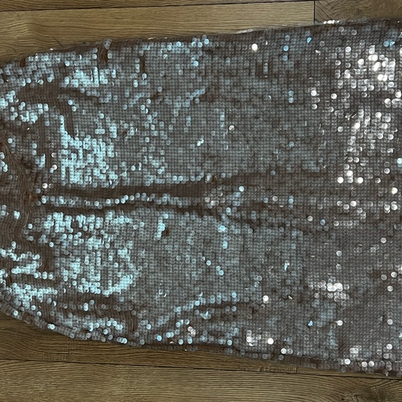 Madewell Sequin Skirt - Picture 5 of 7